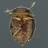  ( - BOLD-3M2XJ64F3)  @11 [ ] CreativeCommons  Attribution Non-Commercial No Derivatives (2018) Nigel Binks University of Waikato