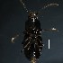  ( - BOLD-3MFY5ULE2)  @11 [ ] CreativeCommons  Attribution Non-Commercial No Derivatives (2018) Nigel Binks University of Waikato