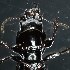 ( - BOLD-3MH0EI673)  @11 [ ] CreativeCommons  Attribution Non-Commercial No Derivatives (2018) Nigel Binks University of Waikato