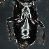  ( - BOLD-3MH0EI673)  @11 [ ] CreativeCommons  Attribution Non-Commercial No Derivatives (2018) Nigel Binks University of Waikato
