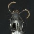  ( - BOLD-3MHD7IR26)  @11 [ ] CreativeCommons  Attribution Non-Commercial No Derivatives (2018) Nigel Binks University of Waikato