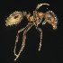  ( - BOLD-3MHGC1VY1)  @11 [ ] CreativeCommons  Attribution Non-Commercial No Derivatives (2018) Nigel Binks University of Waikato