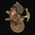  ( - BOLD-3MHQE2RC8)  @11 [ ] CreativeCommons  Attribution Non-Commercial No Derivatives (2018) Nigel Binks University of Waikato