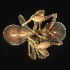  ( - BOLD-3MHQE2RC8)  @11 [ ] CreativeCommons  Attribution Non-Commercial No Derivatives (2018) Nigel Binks University of Waikato