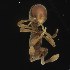  ( - BOLD-3MI2X5LE0)  @11 [ ] CreativeCommons  Attribution Non-Commercial No Derivatives (2018) Nigel Binks University of Waikato