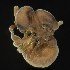  ( - BOLD-3MI5A1C91)  @11 [ ] CreativeCommons  Attribution Non-Commercial No Derivatives (2018) Nigel Binks University of Waikato