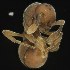  ( - BOLD-3MI5A1C91)  @11 [ ] CreativeCommons  Attribution Non-Commercial No Derivatives (2018) Nigel Binks University of Waikato