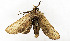  ( - ZZU.LS501)  @11 [ ] CreativeCommons  Attribution Non-Commercial Share-Alike (2023) Unspecified University of Zhengzhou
