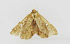 ( - ZZU.LS508)  @11 [ ] CreativeCommons  Attribution Non-Commercial Share-Alike (2023) Unspecified University of Zhengzhou