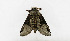  ( - ZZU.LS515)  @11 [ ] CreativeCommons  Attribution Non-Commercial Share-Alike (2023) Unspecified University of Zhengzhou
