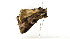  ( - ZZU.LS554)  @11 [ ] CreativeCommons  Attribution Non-Commercial Share-Alike (2023) Unspecified University of Zhengzhou