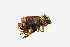  ( - ZZU.LS561)  @11 [ ] CreativeCommons  Attribution Non-Commercial Share-Alike (2023) Unspecified University of Zhengzhou