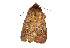  ( - ZZU.LS565)  @11 [ ] CreativeCommons  Attribution Non-Commercial Share-Alike (2023) Unspecified University of Zhengzhou