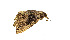  ( - ZZU.LS580)  @11 [ ] CreativeCommons  Attribution Non-Commercial Share-Alike (2023) Unspecified University of Zhengzhou