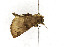  ( - ZZU.LS589)  @11 [ ] CreativeCommons  Attribution Non-Commercial Share-Alike (2023) Unspecified University of Zhengzhou