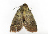  ( - ZZU.LS592)  @11 [ ] CreativeCommons  Attribution Non-Commercial Share-Alike (2023) Unspecified University of Zhengzhou