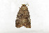  ( - ZZU.LS598)  @11 [ ] CreativeCommons  Attribution Non-Commercial Share-Alike (2023) Unspecified University of Zhengzhou