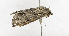 ( - ZZU.LS610)  @11 [ ] CreativeCommons  Attribution Non-Commercial Share-Alike (2023) Unspecified University of Zhengzhou