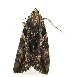  ( - ZZU.LS635)  @11 [ ] CreativeCommons  Attribution Non-Commercial Share-Alike (2023) Unspecified University of Zhengzhou