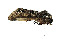  (Flexivaleria - ZZU.LS668)  @11 [ ] CreativeCommons  Attribution Non-Commercial Share-Alike (2023) Unspecified University of Zhengzhou