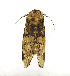  ( - ZZU.LS673)  @11 [ ] CreativeCommons  Attribution Non-Commercial Share-Alike (2023) Unspecified University of Zhengzhou
