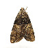  ( - ZZU.LS688)  @11 [ ] CreativeCommons  Attribution Non-Commercial Share-Alike (2023) Unspecified University of Zhengzhou