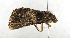  ( - ZZU.LS689)  @11 [ ] CreativeCommons  Attribution Non-Commercial Share-Alike (2023) Unspecified University of Zhengzhou