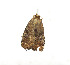  ( - ZZU.LS692)  @11 [ ] CreativeCommons  Attribution Non-Commercial Share-Alike (2023) Unspecified University of Zhengzhou