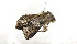  ( - ZZU.LS699)  @11 [ ] CreativeCommons  Attribution Non-Commercial Share-Alike (2023) Unspecified University of Zhengzhou