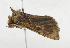  ( - ZZU.LS745)  @11 [ ] CreativeCommons  Attribution Non-Commercial Share-Alike (2023) Unspecified University of Zhengzhou