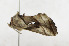  ( - ZZU.LS748)  @11 [ ] CreativeCommons  Attribution Non-Commercial Share-Alike (2023) Unspecified University of Zhengzhou