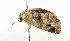  ( - ZZU.LS755)  @11 [ ] CreativeCommons  Attribution Non-Commercial Share-Alike (2023) Unspecified University of Zhengzhou