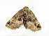  ( - ZZU.LS756)  @11 [ ] CreativeCommons  Attribution Non-Commercial Share-Alike (2023) Unspecified University of Zhengzhou
