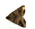  ( - ZZU.LS763)  @11 [ ] CreativeCommons  Attribution Non-Commercial Share-Alike (2023) Unspecified University of Zhengzhou