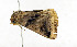  ( - ZZU.LS764)  @11 [ ] CreativeCommons  Attribution Non-Commercial Share-Alike (2023) Unspecified University of Zhengzhou