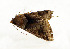  ( - ZZU.LS765)  @11 [ ] CreativeCommons  Attribution Non-Commercial Share-Alike (2023) Unspecified University of Zhengzhou