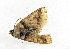  ( - ZZU.LS768)  @11 [ ] CreativeCommons  Attribution Non-Commercial Share-Alike (2023) Unspecified University of Zhengzhou