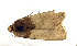  ( - ZZU.LS774)  @11 [ ] CreativeCommons  Attribution Non-Commercial Share-Alike (2023) Unspecified University of Zhengzhou