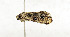  ( - ZZU.LS776)  @11 [ ] CreativeCommons  Attribution Non-Commercial Share-Alike (2023) Unspecified University of Zhengzhou