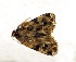  ( - ZZU.LS777)  @11 [ ] CreativeCommons  Attribution Non-Commercial Share-Alike (2023) Unspecified University of Zhengzhou