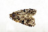  ( - ZZU.LS778)  @11 [ ] CreativeCommons  Attribution Non-Commercial Share-Alike (2023) Unspecified University of Zhengzhou