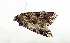  ( - ZZU.LS780)  @11 [ ] CreativeCommons  Attribution Non-Commercial Share-Alike (2023) Unspecified University of Zhengzhou