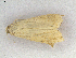  ( - ww05598)  @11 [ ] CreativeCommons  Attribution NonCommercial (2018) Andrew Mitchell Australian Museum