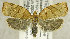  ( - TORTAG-TMG-047)  @14 [ ] Copyright (2010) Unspecified Colorado State University