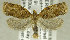  ( - TORTAG-TMG-075)  @13 [ ] Copyright (2010) Unspecified Colorado State University