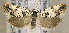  ( - TORTAG-TMG-114)  @13 [ ] Copyright (2010) Unspecified Colorado State University
