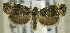  ( - TORTAG-TMG-157)  @11 [ ] Copyright (2010) Unspecified Colorado State University
