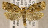  ( - TORTAG-TMG-198)  @13 [ ] Copyright (2010) Unspecified Colorado State University