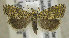  ( - TORTAG-TMG-222)  @11 [ ] Copyright (2010) Unspecified Colorado State University
