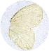  ( - AYK-07-9301)  @12 [ ] Unspecified (default): All Rights Reserved  Unspecified Unspecified